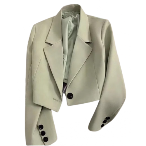 Ladyloom™ Cropped Blazer in Multiple Colors